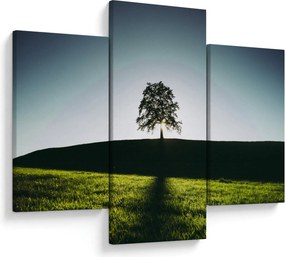 Tablou cu natura - copac (90x60 cm)