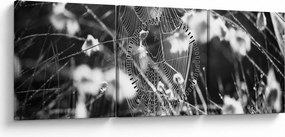 Tablou - Pânza de păianjen în pajiște (cu ceas) (90x30 cm)