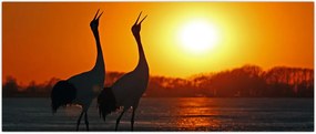 Tablou cu păsări în apus de soare (120x50 cm)