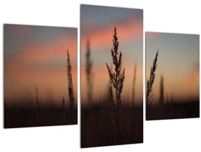 Tablou - Silueta plantei (90x60 cm)