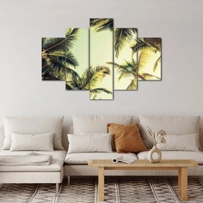 Tablou - Palmieri de cocos (150x105 cm)