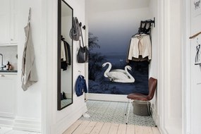 Fototapet, Swan Lake, Nightfall, Rebel Walls