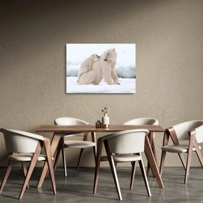 Tablou pe sticlă - Urs polar (70x50 cm)