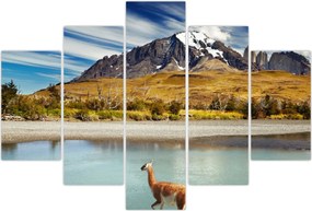 Tablou - Parcul Național Torres del Paine (150x105 cm)