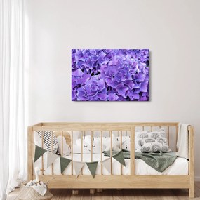 Tablou cu flori violete (90x60 cm)
