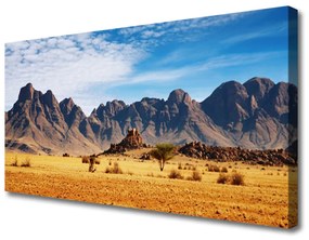 Tablou pe panza canvas Desert Peisaj Galben Maro