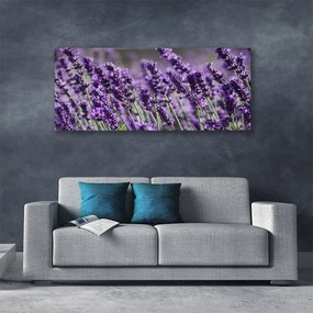 Tablou pe panza canvas Flori Floral violet