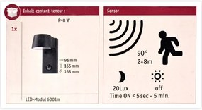 Aplică de exterior cu senzor Paulmann 94453 LED/6W IP44 CAPEA 230V