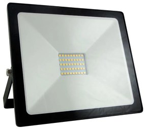 Proiector LED/30W/230V IP65