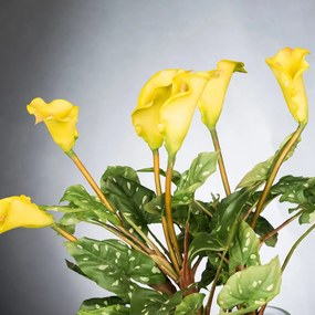 Aranjament floral design LUX ALFEO CALLA TRIS galben