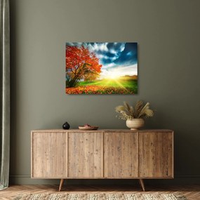 Tablou pe sticlă peisaj cu scufundat în razele solare (70x50 cm)
