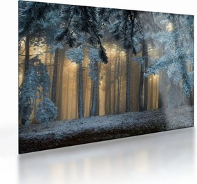 Tablou pe sticlă cu pădure înzăpezită (70x50 cm)