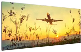 Tablou cu avion zburând (120x50 cm)