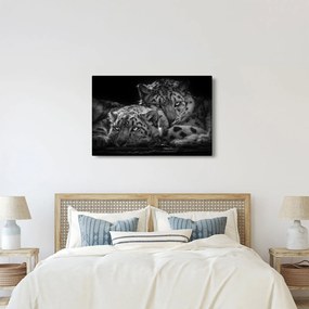 Tablou - Gheparzi care se odihnesc (90x60 cm)