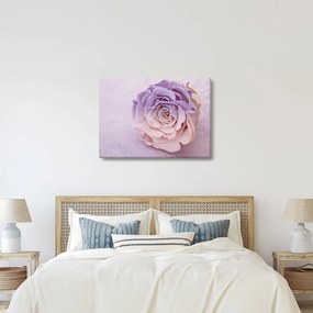 Tablou detaliu florii de trandafir (70x50 cm)
