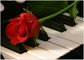 Tablou - Pian și trandafiri (70x50 cm)