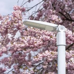 Lampă LED stradală SOLIS LED/30W/230V 3000K IP65