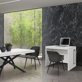 Consola extensibila tip masa Marina - ALB FRASIN - 295 cm/90cm - 12