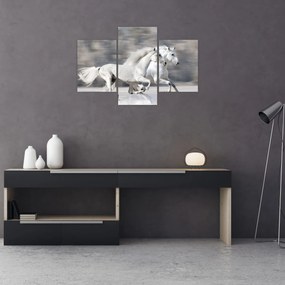 Tablou - Cai albi în timpul iernii (90x60 cm)