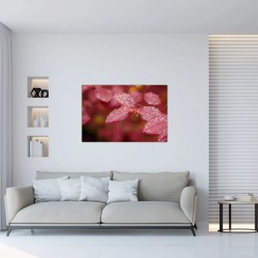 Tablou - Imagine macro a biletului (90x60 cm)