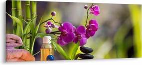Tablou - spa and stones (120x50 cm)