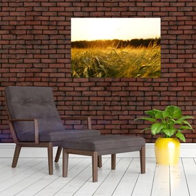 Tablou iarba cu rouă (90x60 cm)
