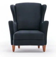 Fotoliu cu aripi NUPI, antracit