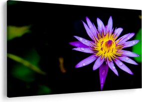Tablou cu floare (90x60 cm)