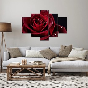Tablou - Trandafir roșu (150x105 cm)