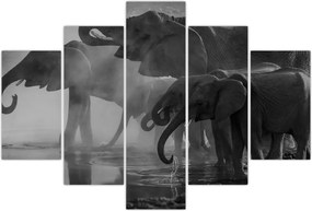 Tablou cu elefanți - albnegru (150x105 cm)