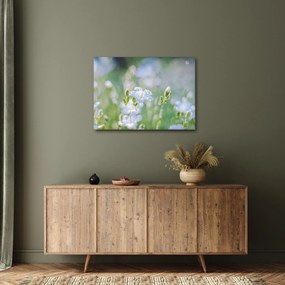 Tablou - Flori delicate (70x50 cm)