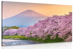 Tablou vulcanul japonez Fuji