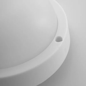 Solight WO749 - LED Plafonieră exterior LED/20W/230V IP54