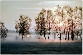 Tablou - Dimineața mohorâtă (90x60 cm)