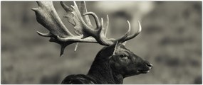 Tablou - Cerb (120x50 cm)