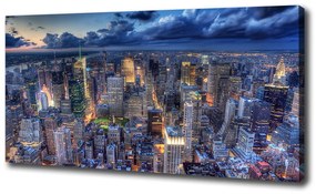 Tablou pe pânză canvas New york pasăre de zbor