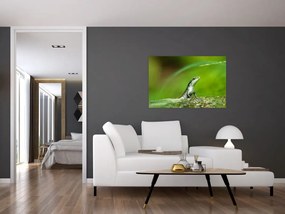 Tablou cu șopârlă (90x60 cm)