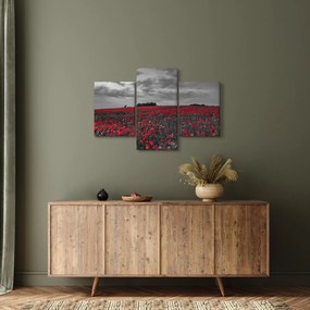 Tablou cu maci (90x60 cm)