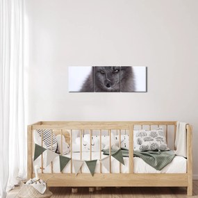 Tablou cu vulpe polară (cu ceas) (90x30 cm)