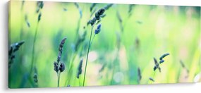 Tablou - Detaliu pajiște (120x50 cm)