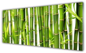 Tablouri acrilice Bamboo Tulpini Floral Verde