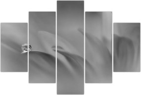 Tablou - Picătură pe floare,alb-negru (150x105 cm)