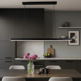 Brilagi - Lustră LED suspendată pe cablu AXIS, 30 W, 230 V, 120 cm, neagră