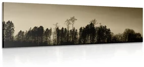 Tablou pădure în sepia