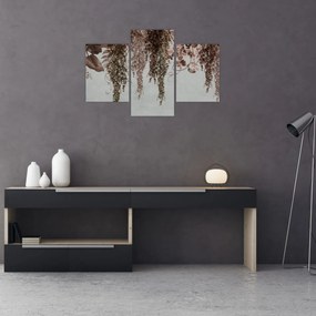 Tablou - Plante (90x60 cm)