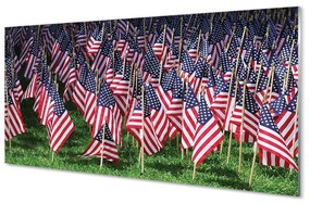 Tablouri pe sticlă Statele Unite ale Americii steaguri