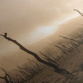 Tablou - Copaci goi (90x60 cm)