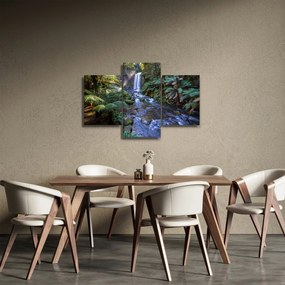 Tablou cu pădurea ploilor din Austalia (90x60 cm)