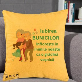 Cadou pentru Bunici - Perna Personalizata Bunicii Iubirea Infloreste cu Nepoata Teal, 40x40 cm, Galben, Husa Detasabila, Perna Inclusa, BEKZ®