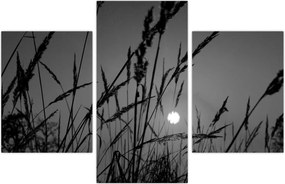 Tablou - Pajiște cu apus de soare (90x60 cm)